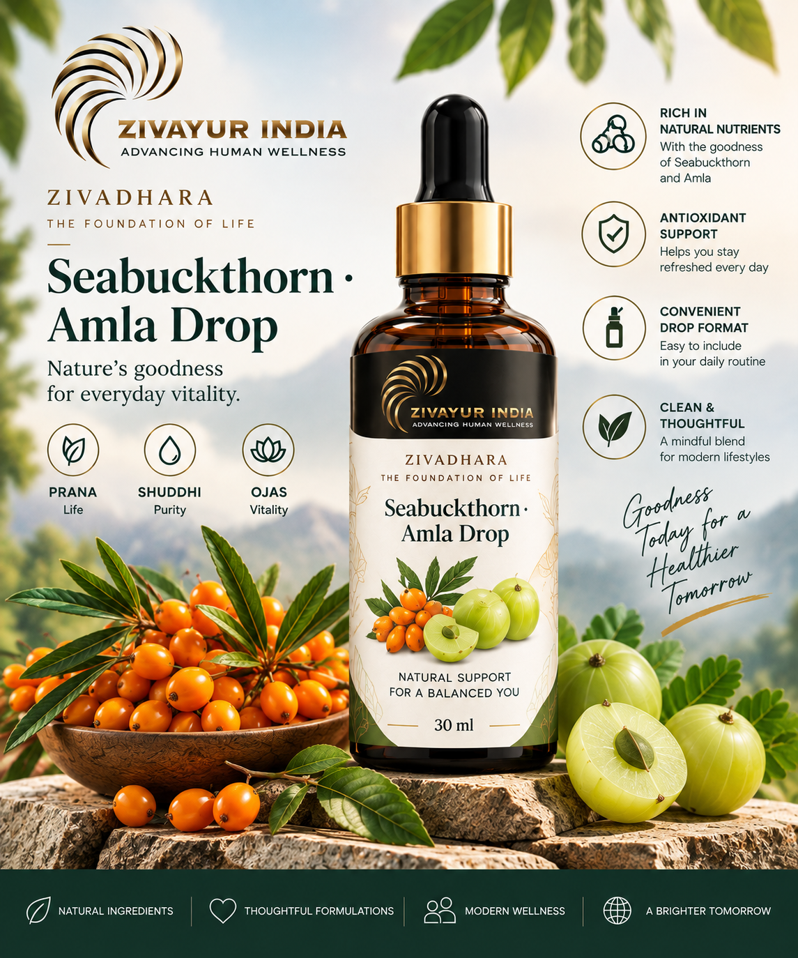Zivadhara Seabuckthorn Amla Drop